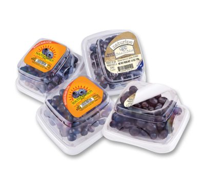 Resealable blueberry containers