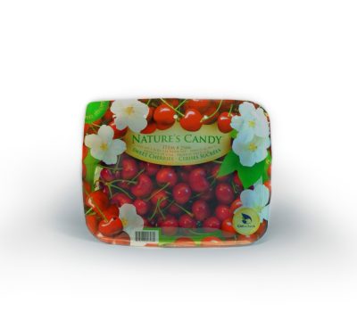 Cherries in a container