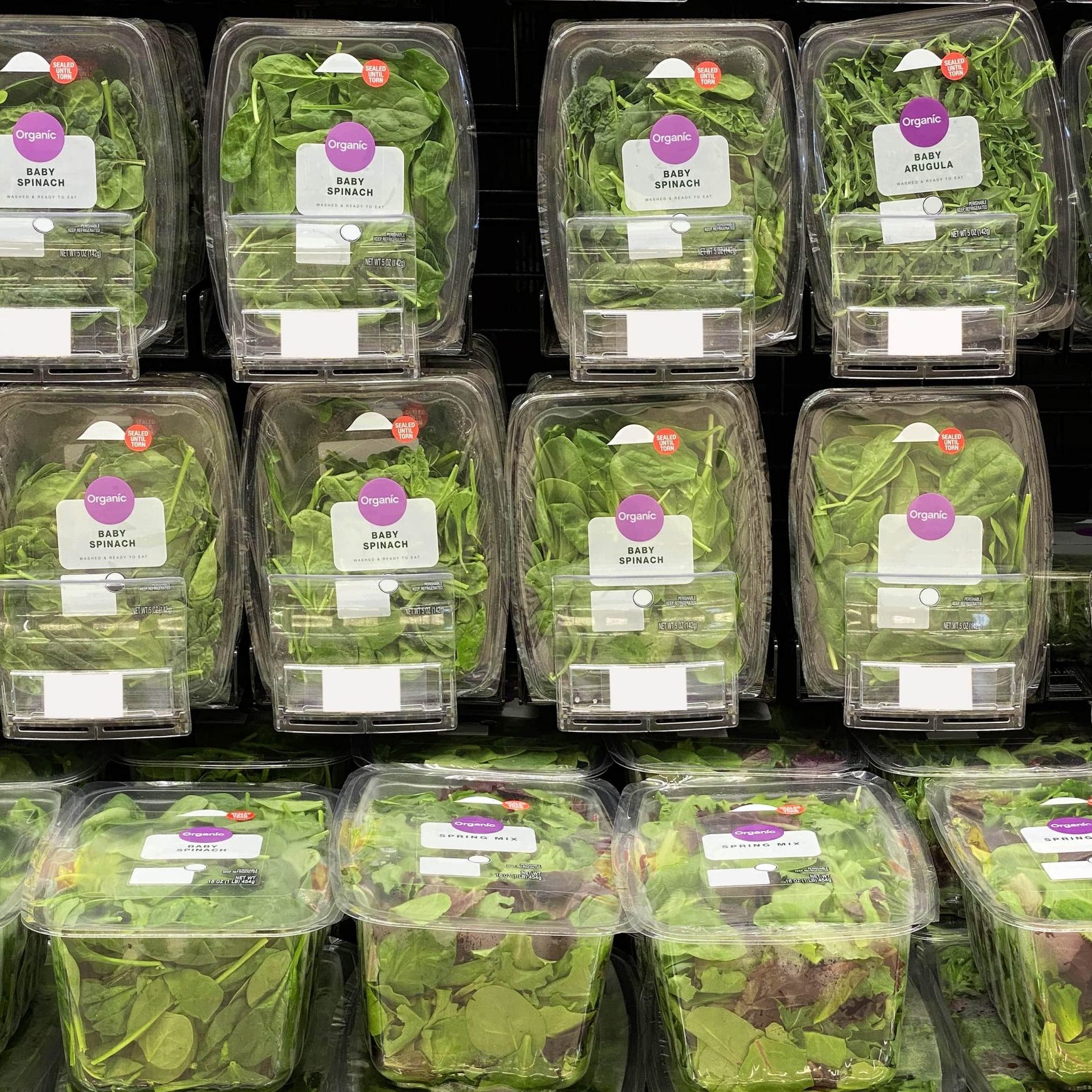 Baby spinach on the grocery store shelves in rigid containers